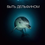 Книга “Быть дельфином”. В.Лягушкин